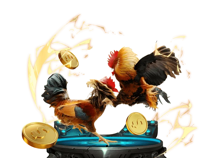 Hoàn trả thể thao Kubet 2022